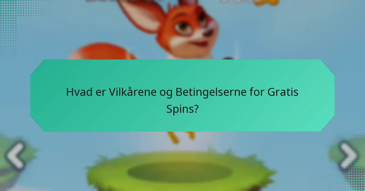 Hvad er Vilkårene og Betingelserne for Gratis Spins?